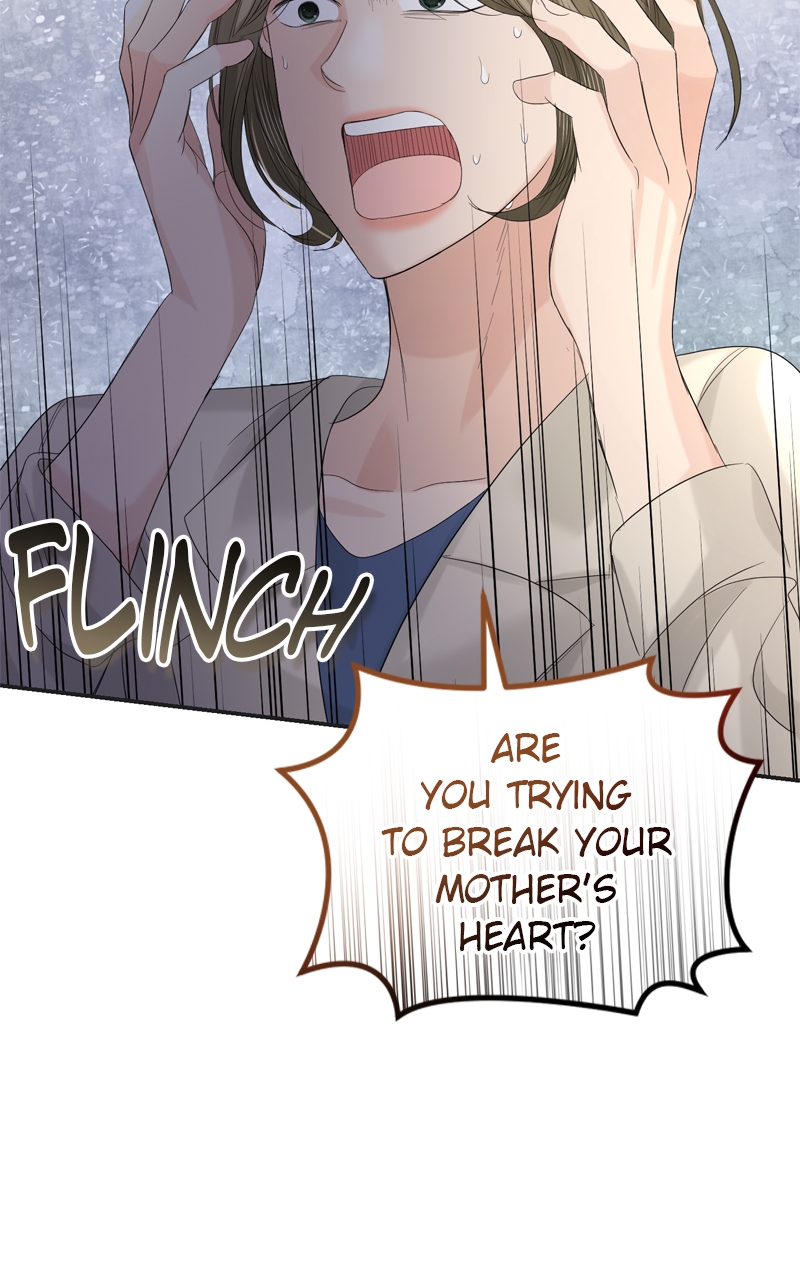 Read Perfect Marriage Revenge EN Manga Online