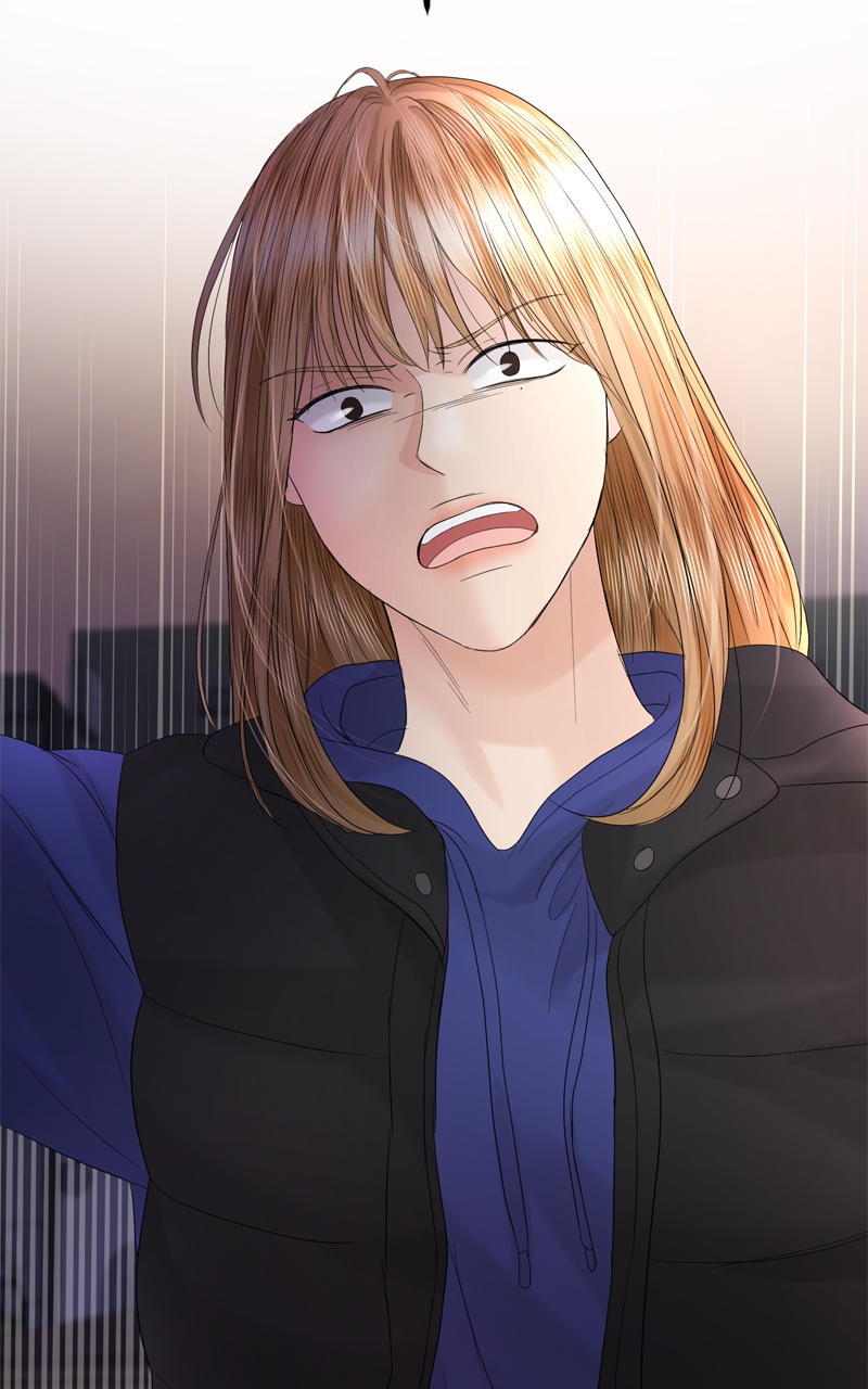 Read Perfect Marriage Revenge EN Manga Online