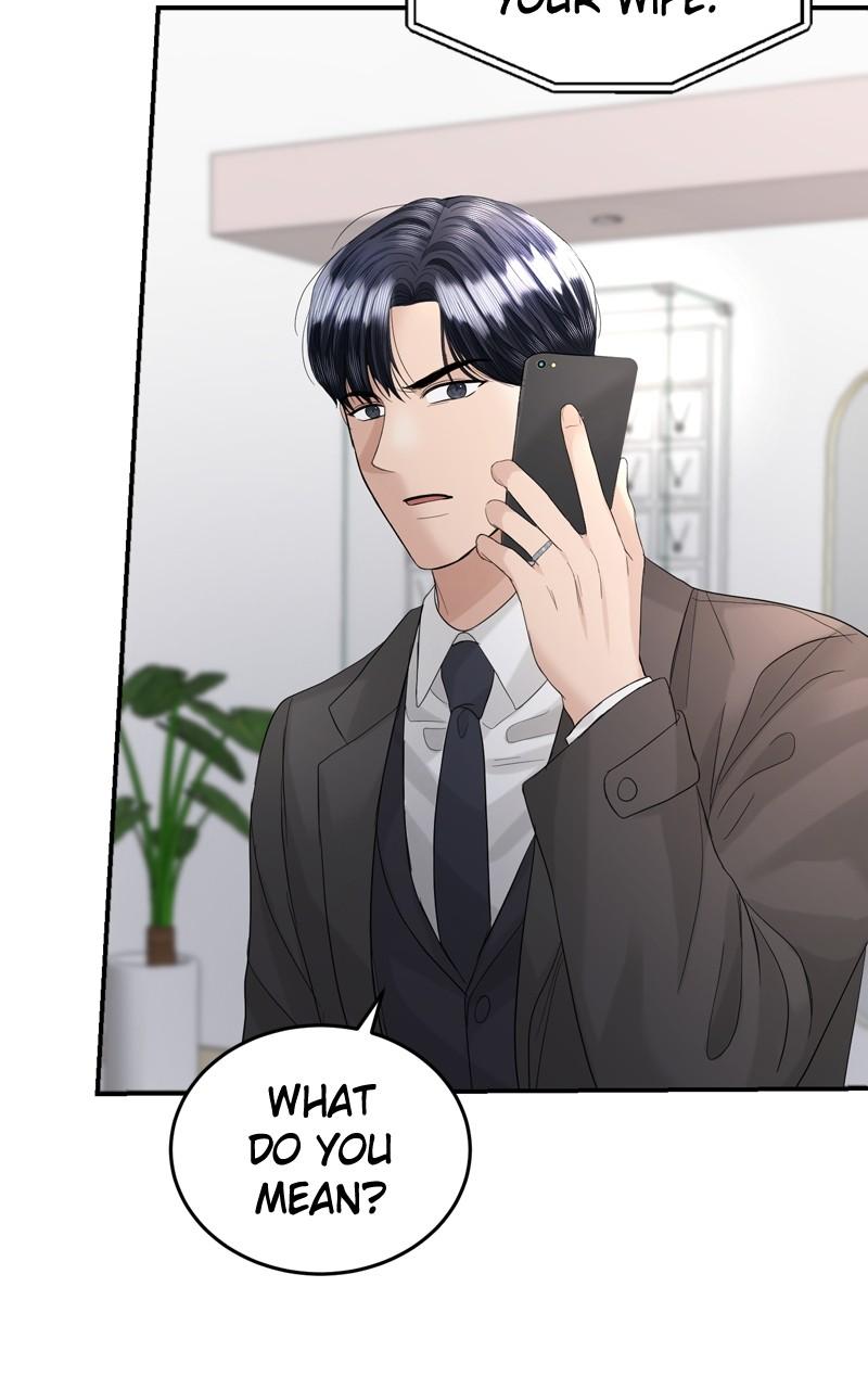 Read Perfect Marriage Revenge EN Manga Online