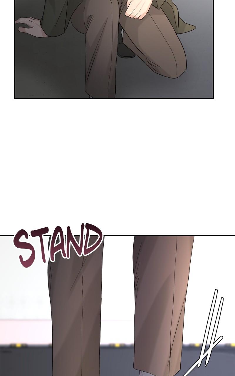 Read Perfect Marriage Revenge EN Manga Online