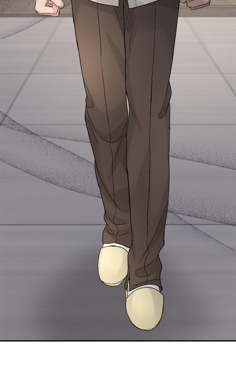 Read Perfect Marriage Revenge EN Manga Online