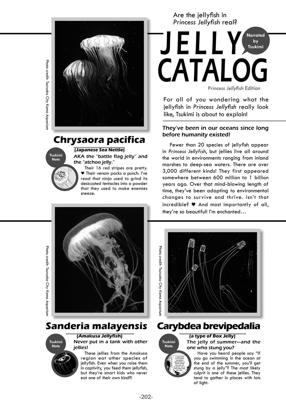 Read Princess Jellyfish EN Manga Online