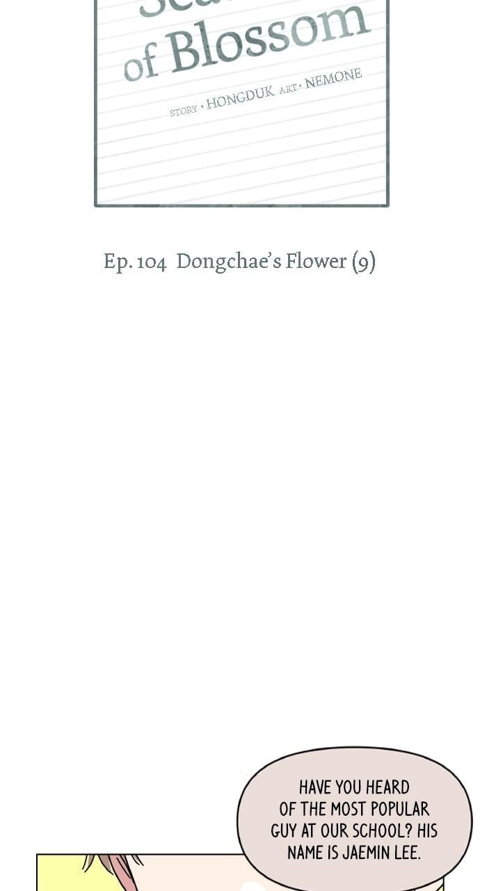 Read Seasons of Blossom EN Manga Online