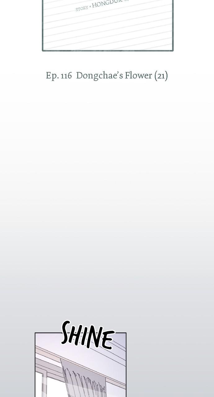 Read Seasons of Blossom EN Manga Online