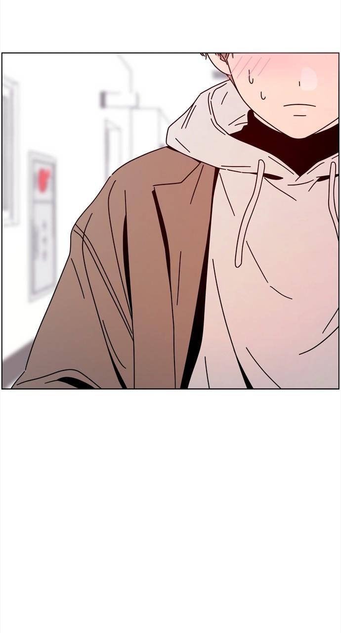 Read Seasons of Blossom EN Manga Online