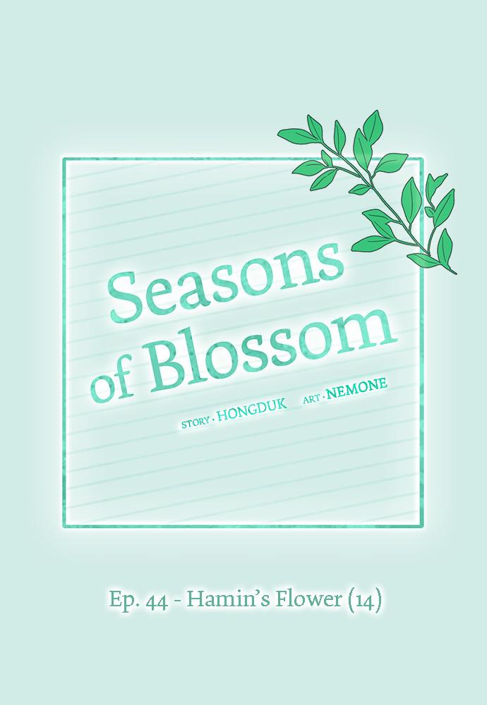 Read Seasons of Blossom EN Manga Online