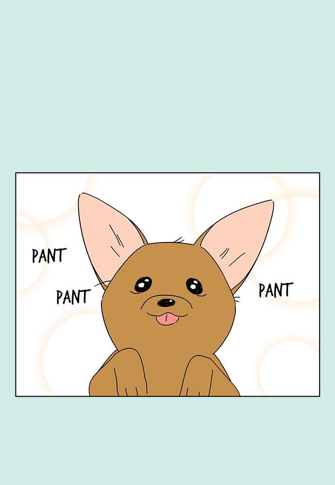 Read Seasons of Blossom EN Manga Online