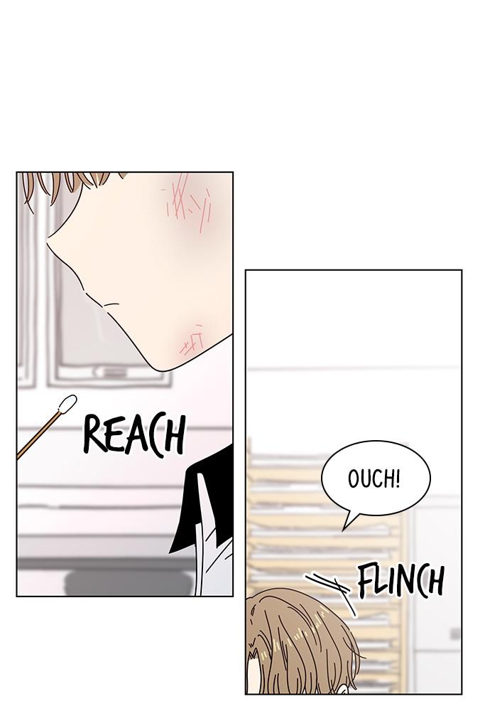 Read Seasons of Blossom EN Manga Online