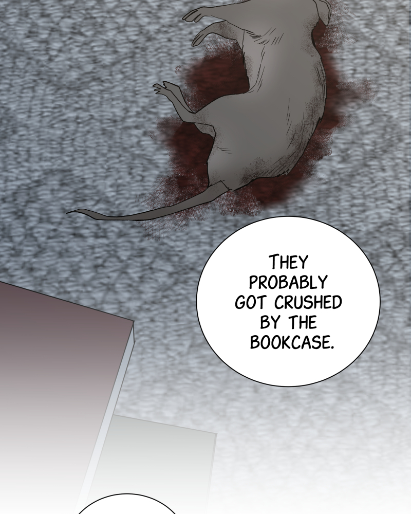 Read The Guy Upstairs EN Manga Online