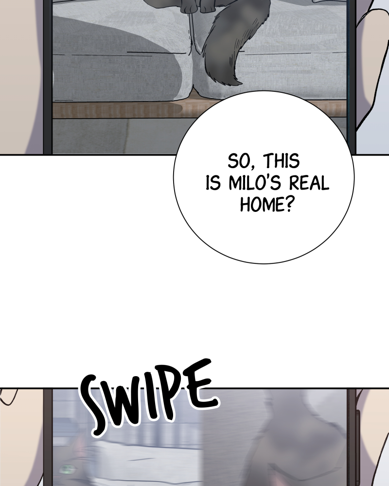 Read The Guy Upstairs EN Manga Online