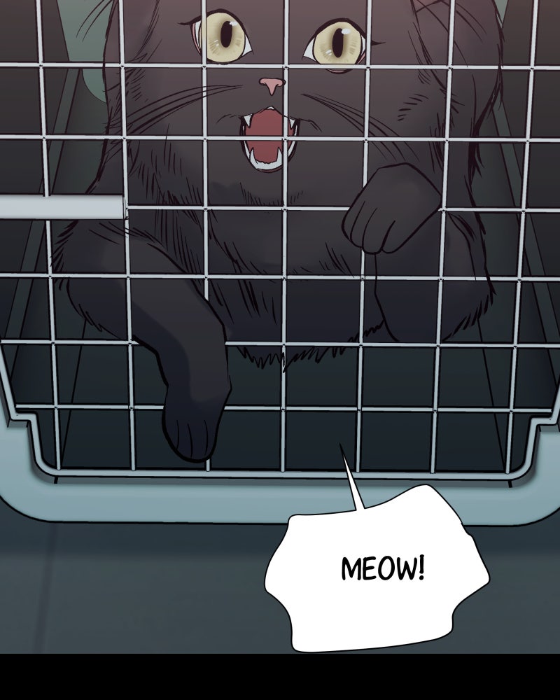 Read The Guy Upstairs EN Manga Online