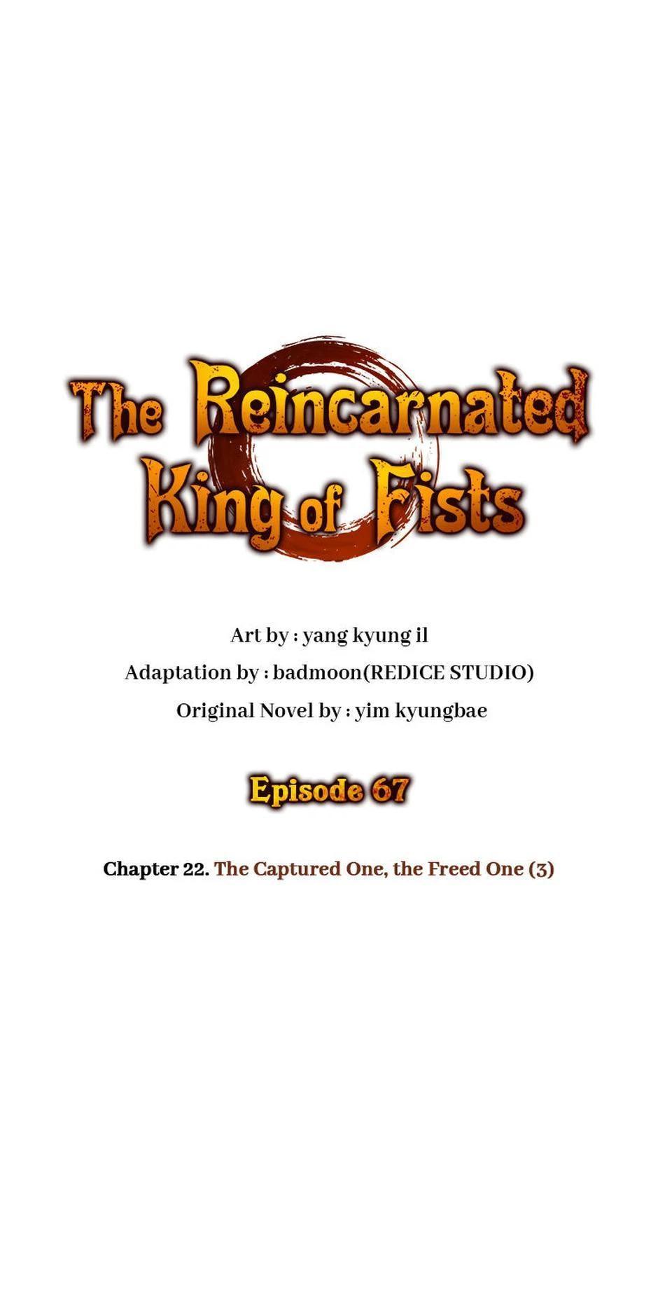 Read The Reincarnated King of Fists EN Manga Online