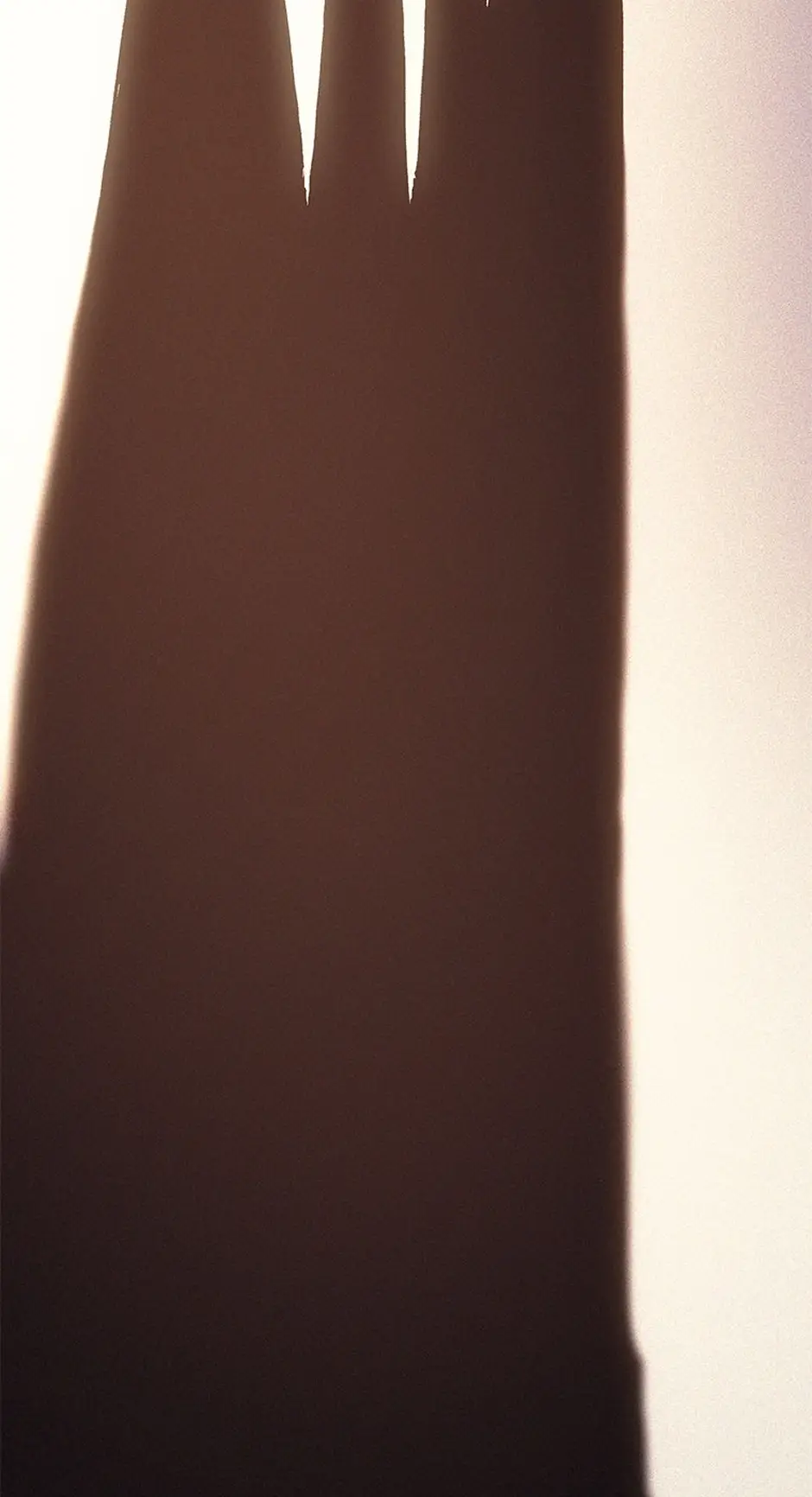 Read The Reincarnated King of Fists EN Manga Online