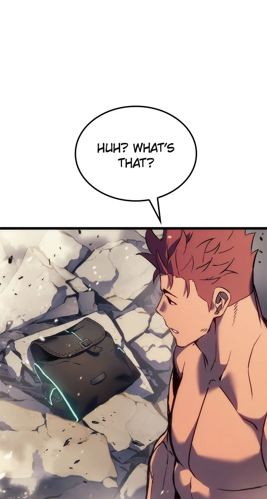 Read The Reincarnated King of Fists EN Manga Online