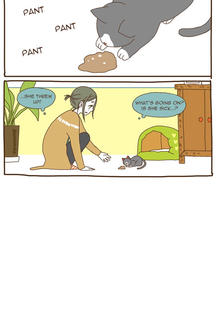 Read The Stories of Those Around Me EN Manga Online