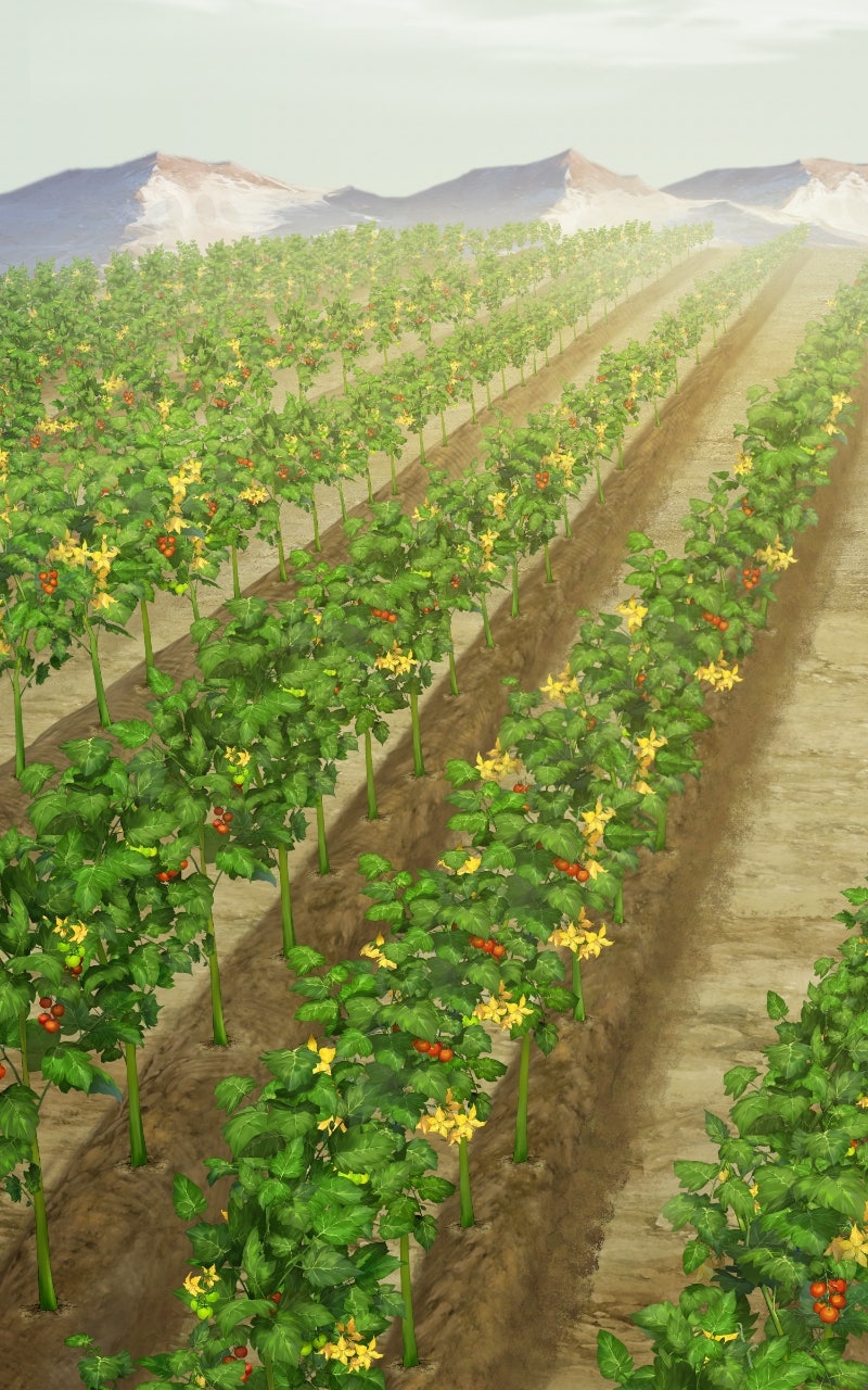 Read The Top Dungeon Farmer EN Manga Online