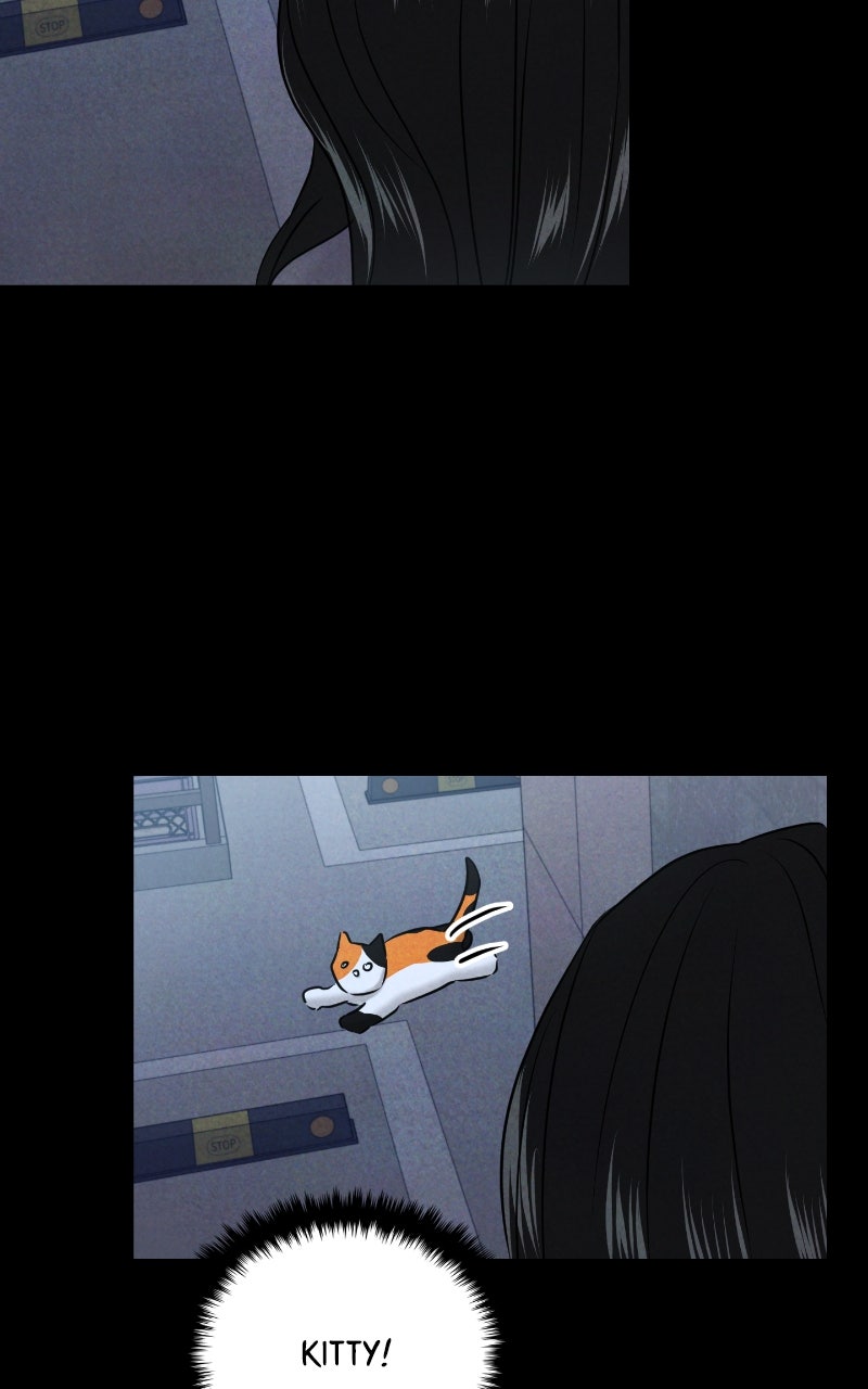 Read This is a Campus Romance Series EN Manga Online