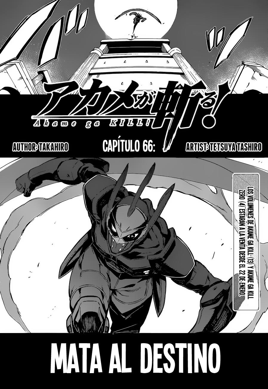 Read Akame ga Kill! ES Manga Online