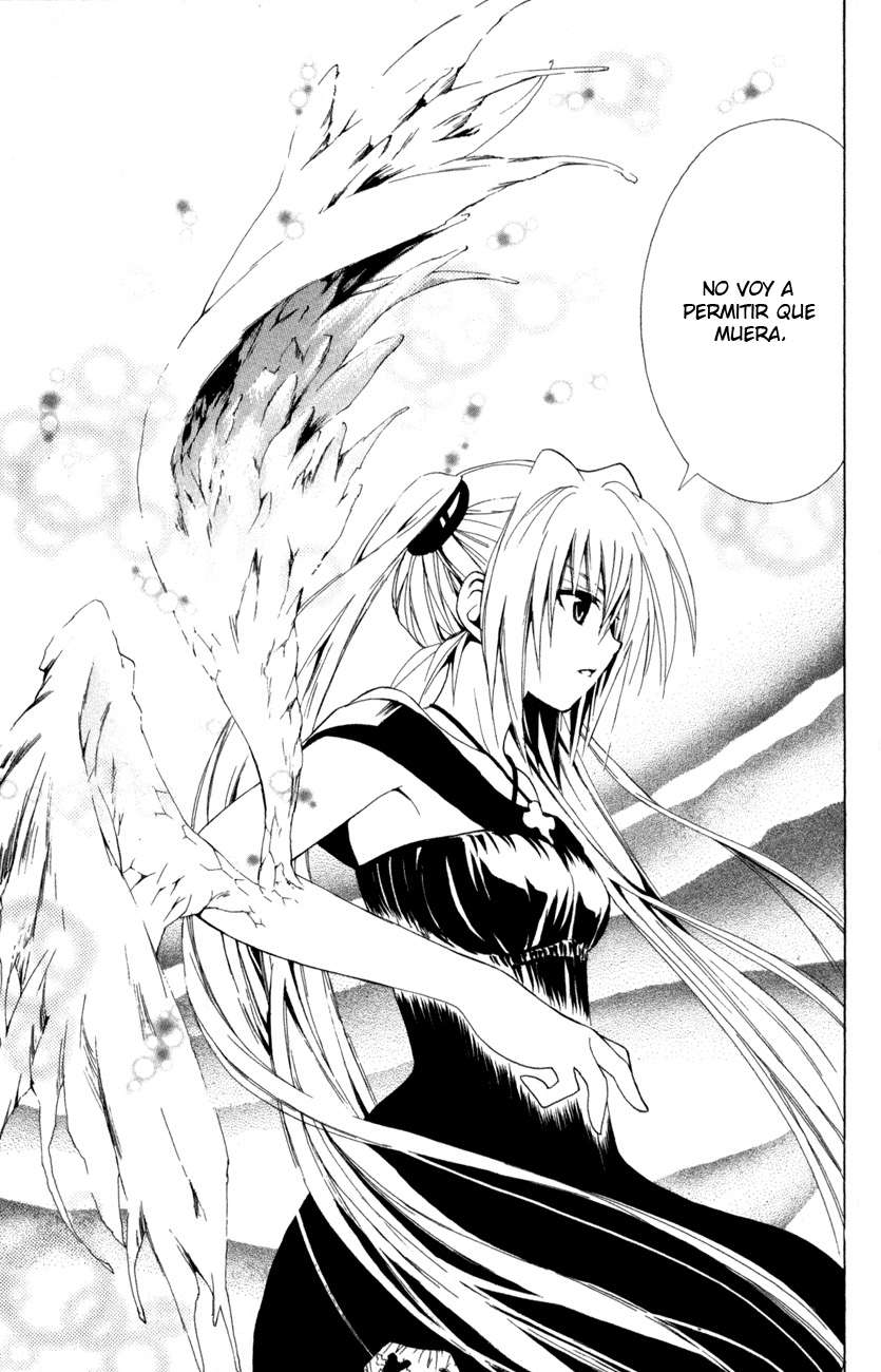 Read Black Cat ES Manga Online