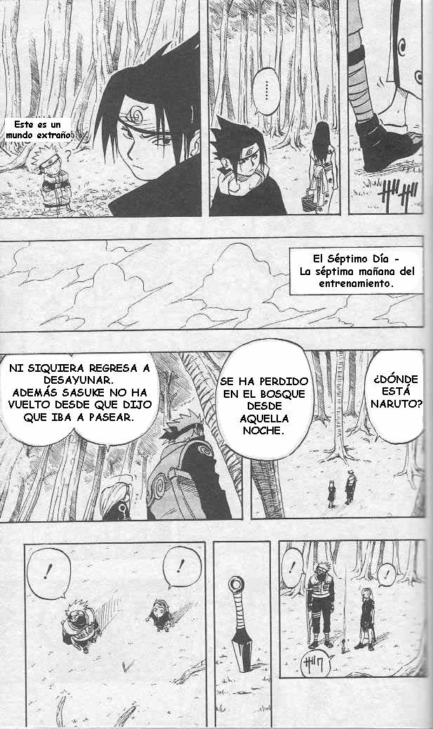 Read Naruto ES Manga Online