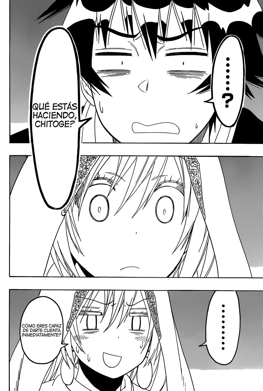 Read Nisekoi ES Manga Online
