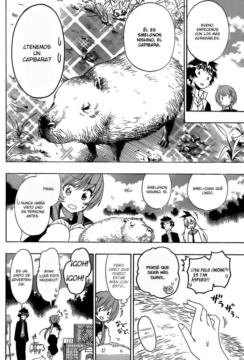 Read Nisekoi ES Manga Online