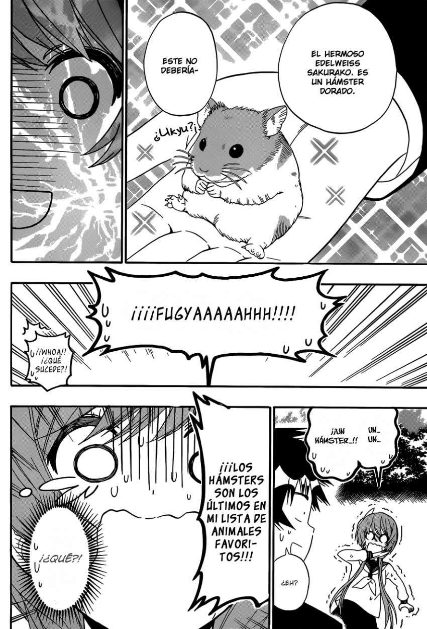 Read Nisekoi ES Manga Online