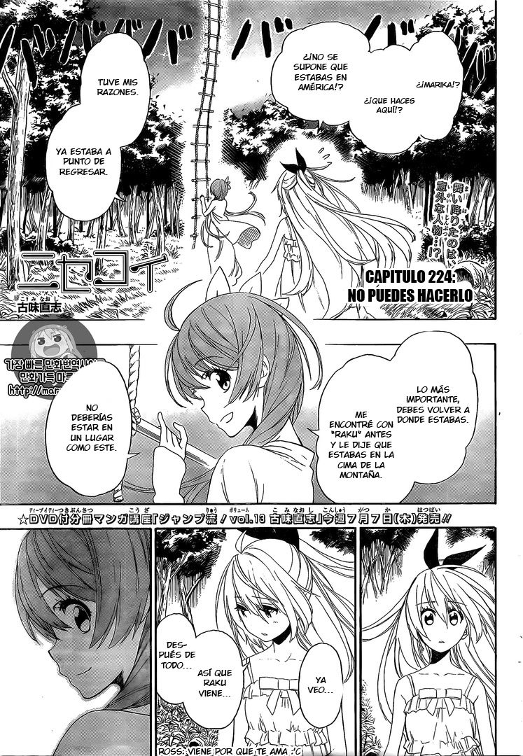 Read Nisekoi ES Manga Online