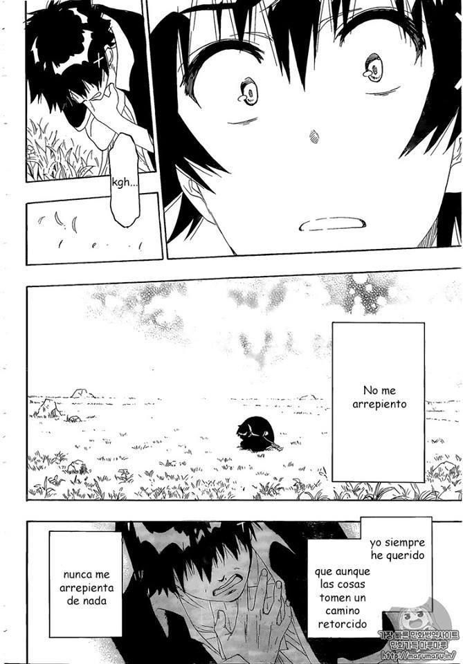 Read Nisekoi ES Manga Online