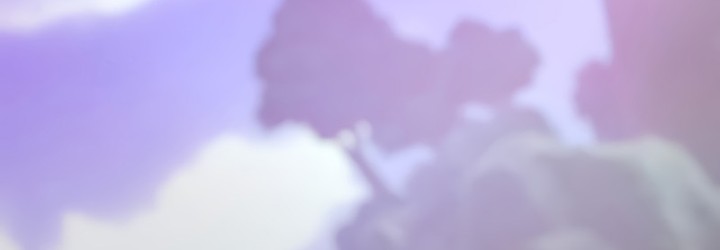 Read Absolute Sword Sense FR Manga Online