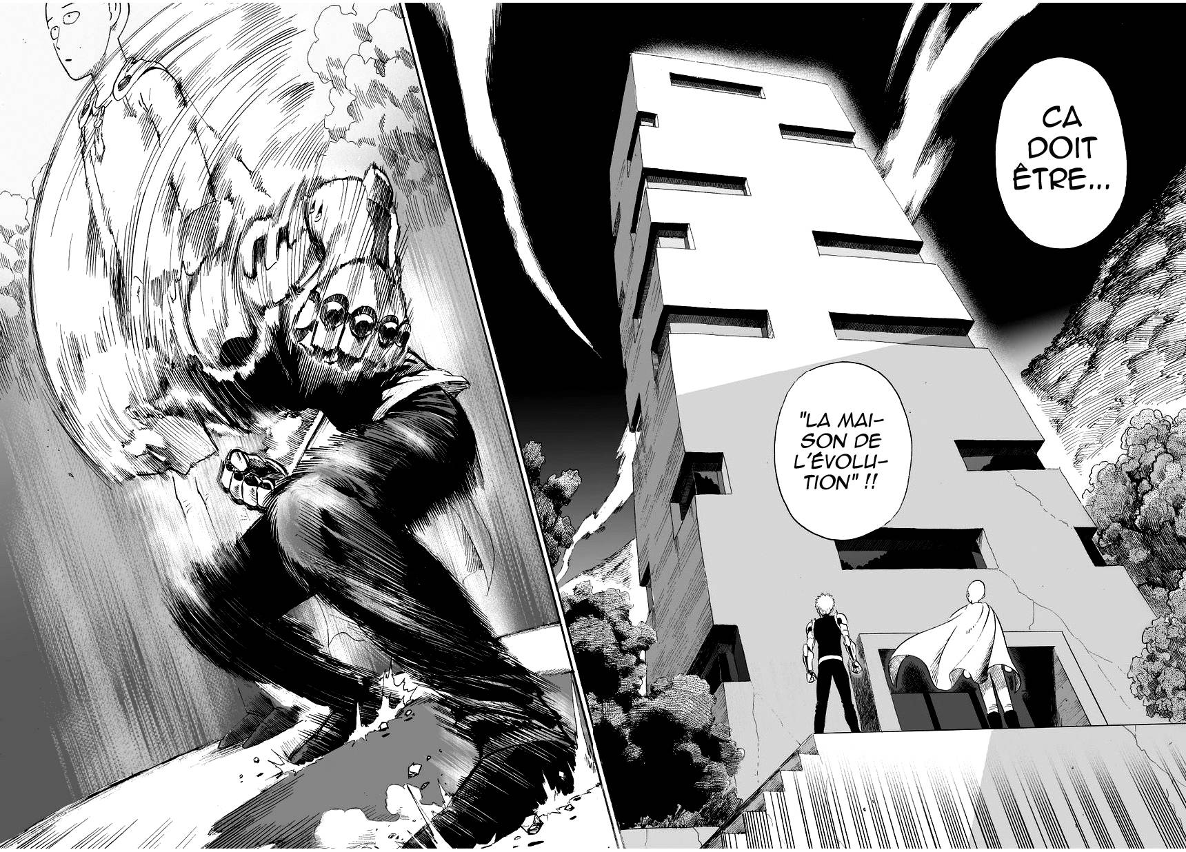 Read One-Punch Man FR Manga Online