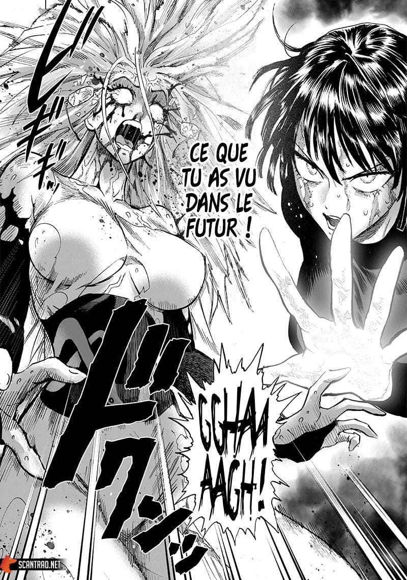 Read One-Punch Man FR Manga Online