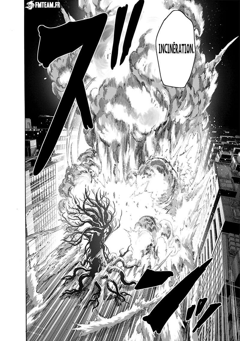 Read One-Punch Man FR Manga Online