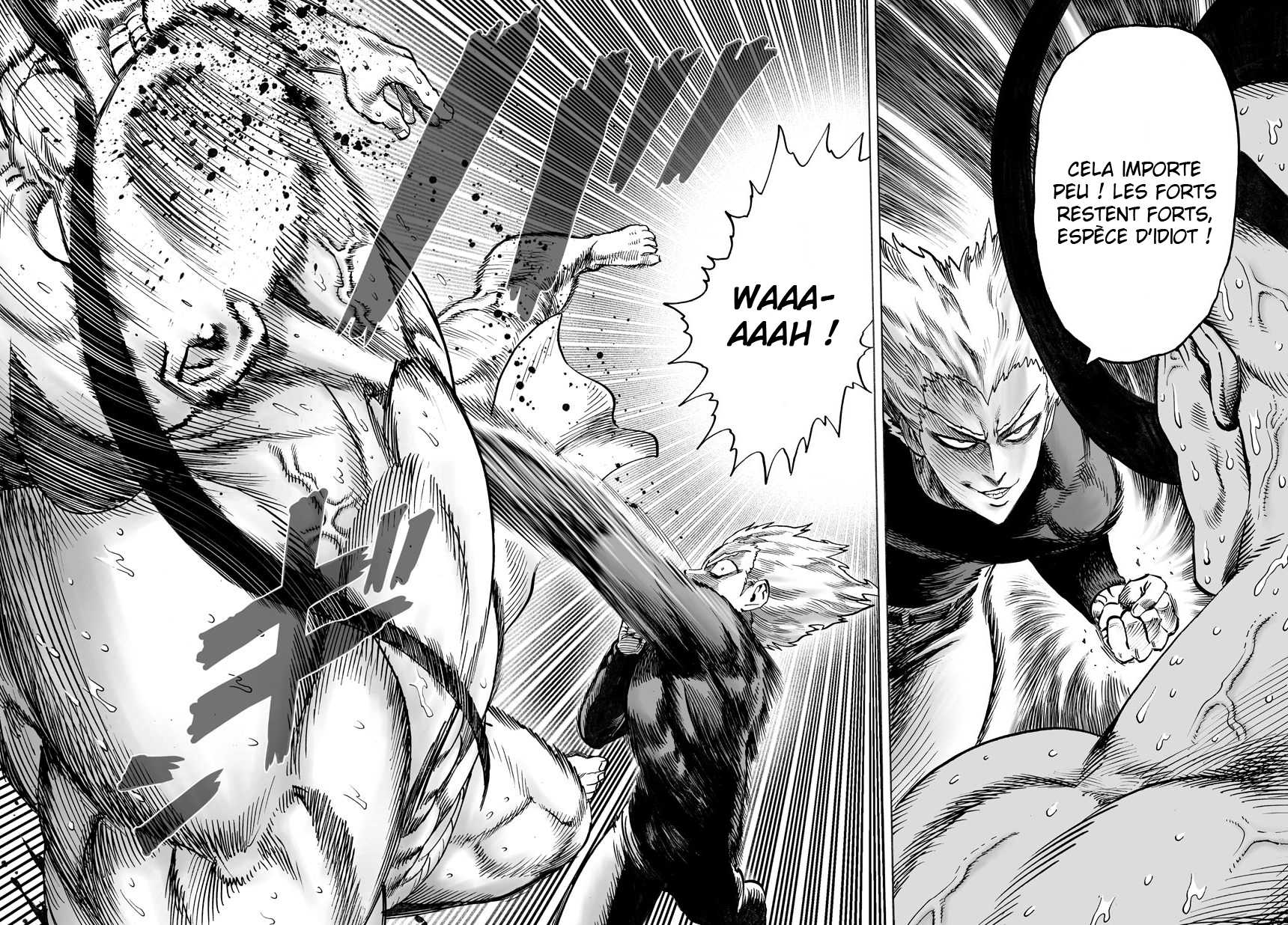Read One-Punch Man FR Manga Online