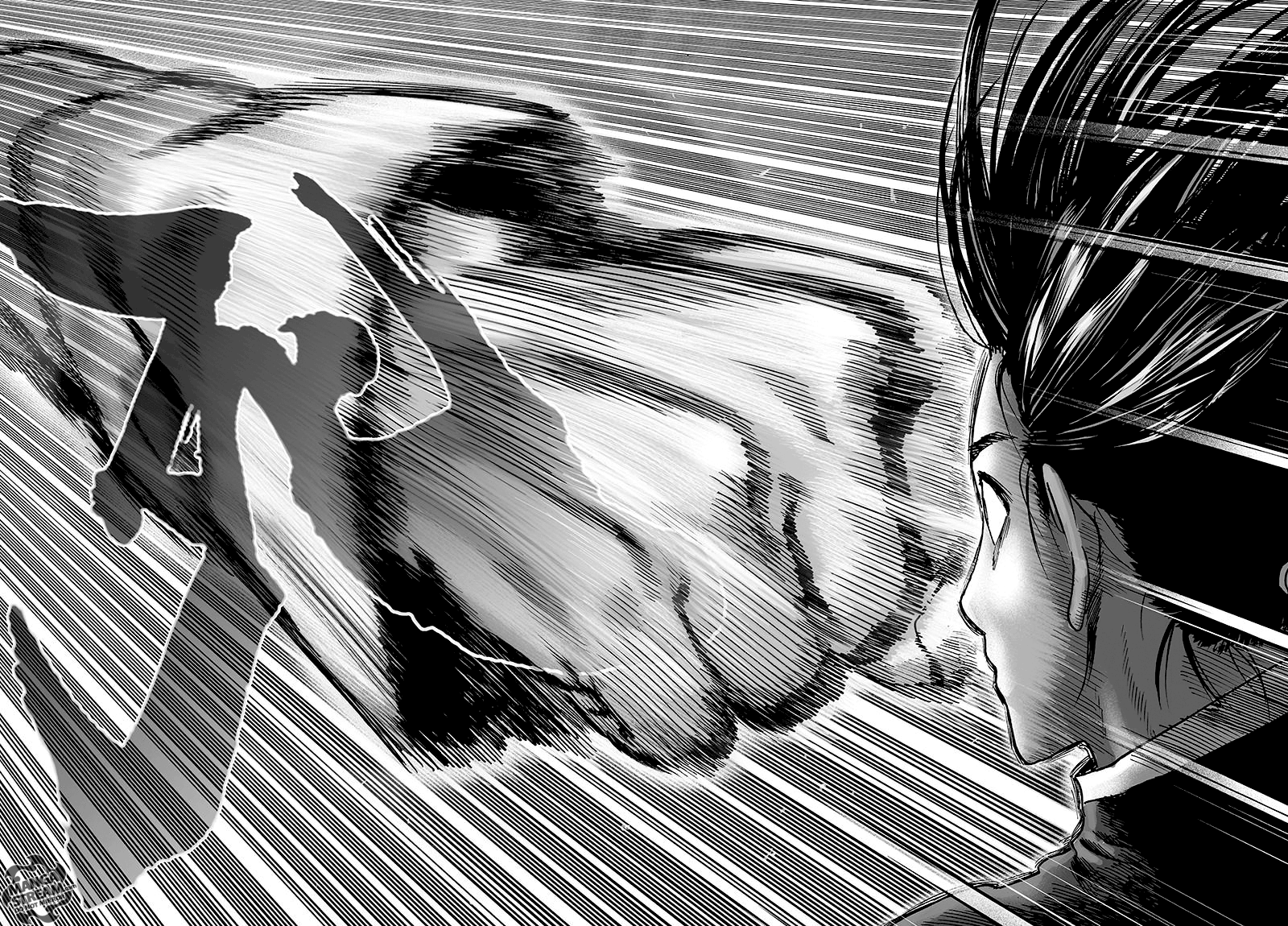 Read One-Punch Man FR Manga Online
