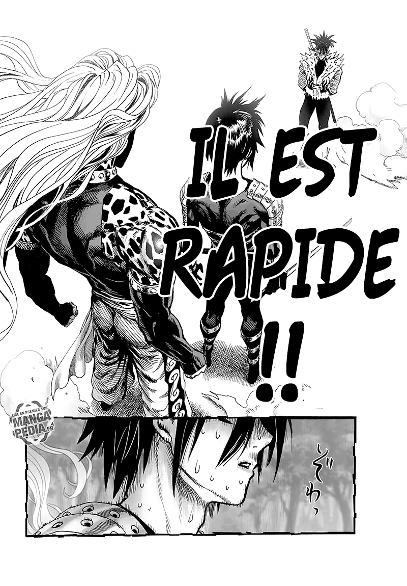 Read One-Punch Man FR Manga Online