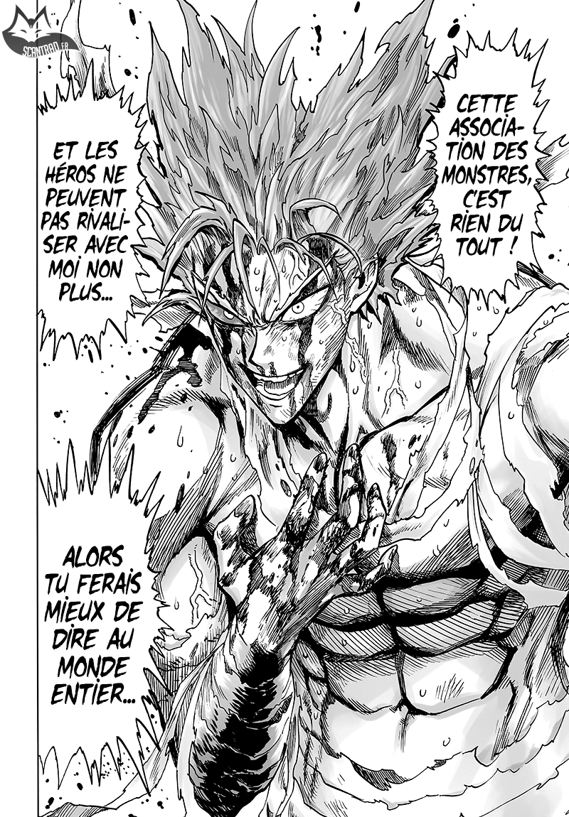 Read One-Punch Man FR Manga Online