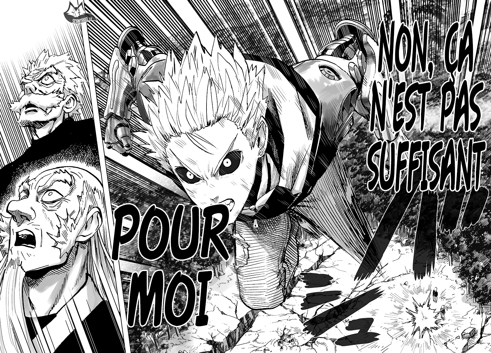 Read One-Punch Man FR Manga Online