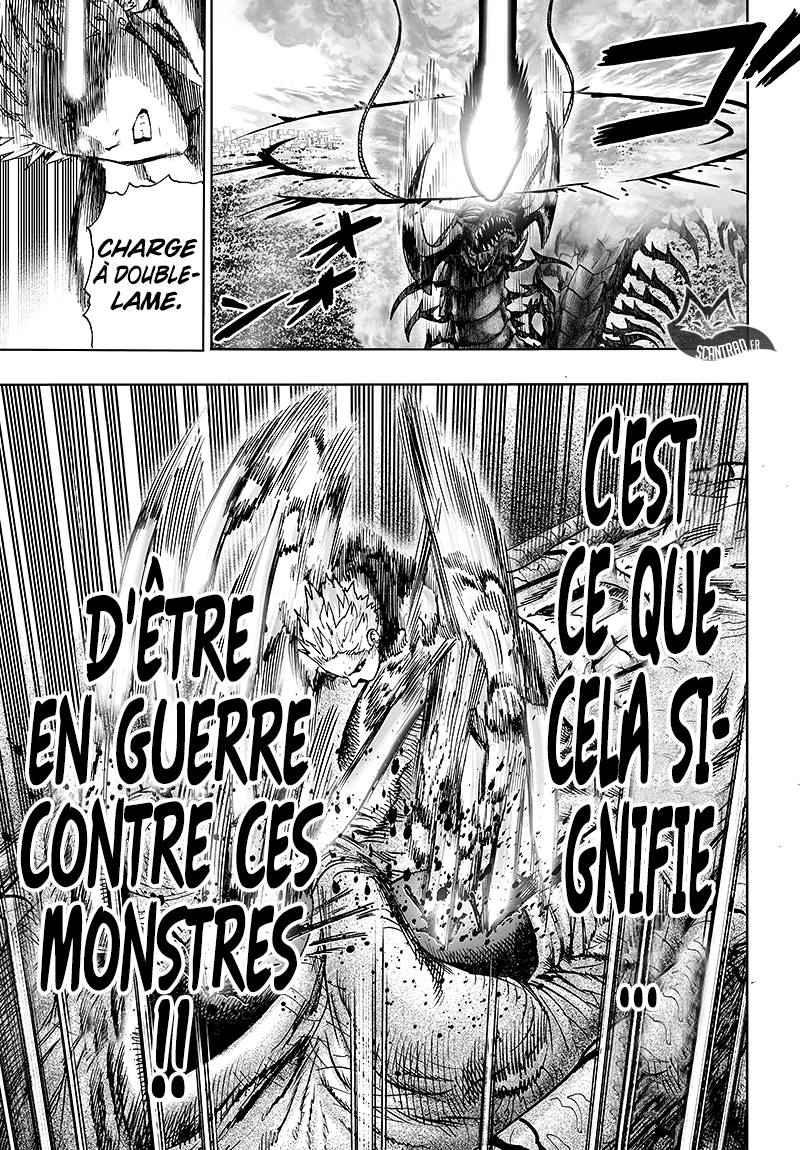 Read One-Punch Man FR Manga Online