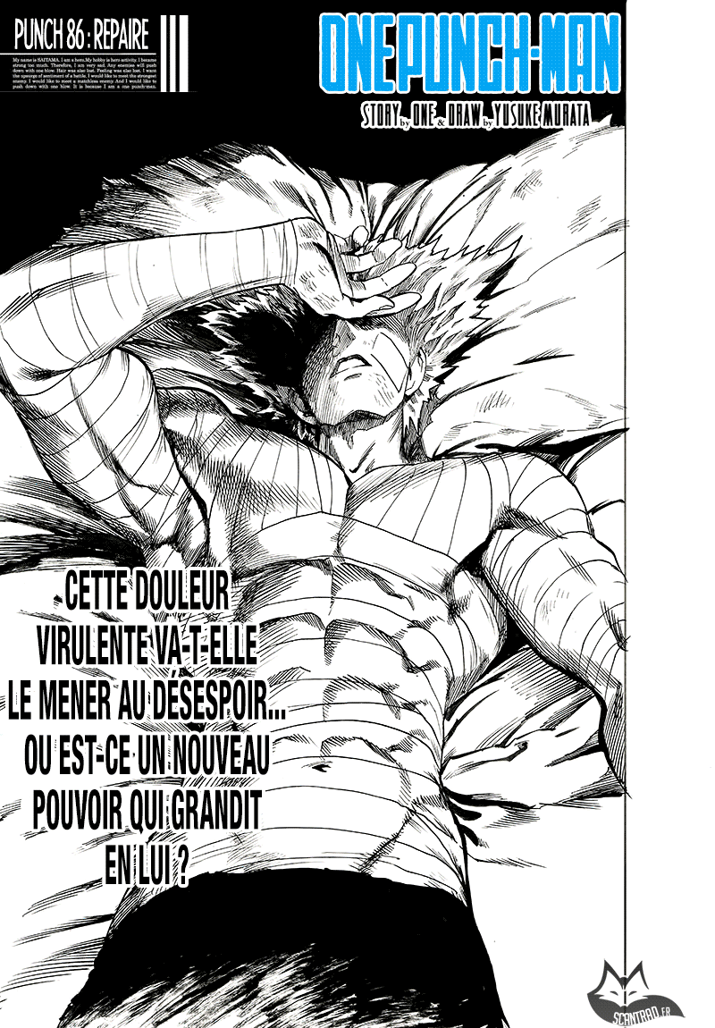 Read One-Punch Man FR Manga Online