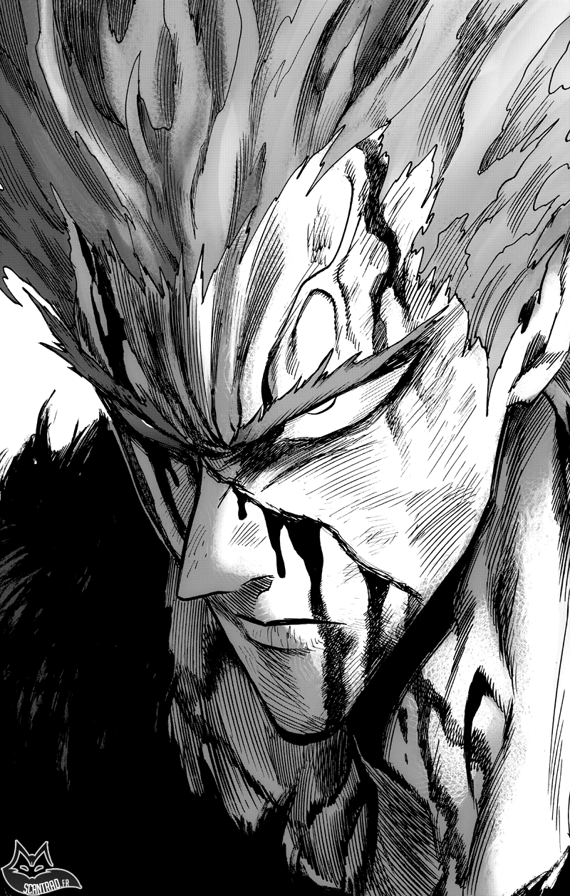Read One-Punch Man FR Manga Online