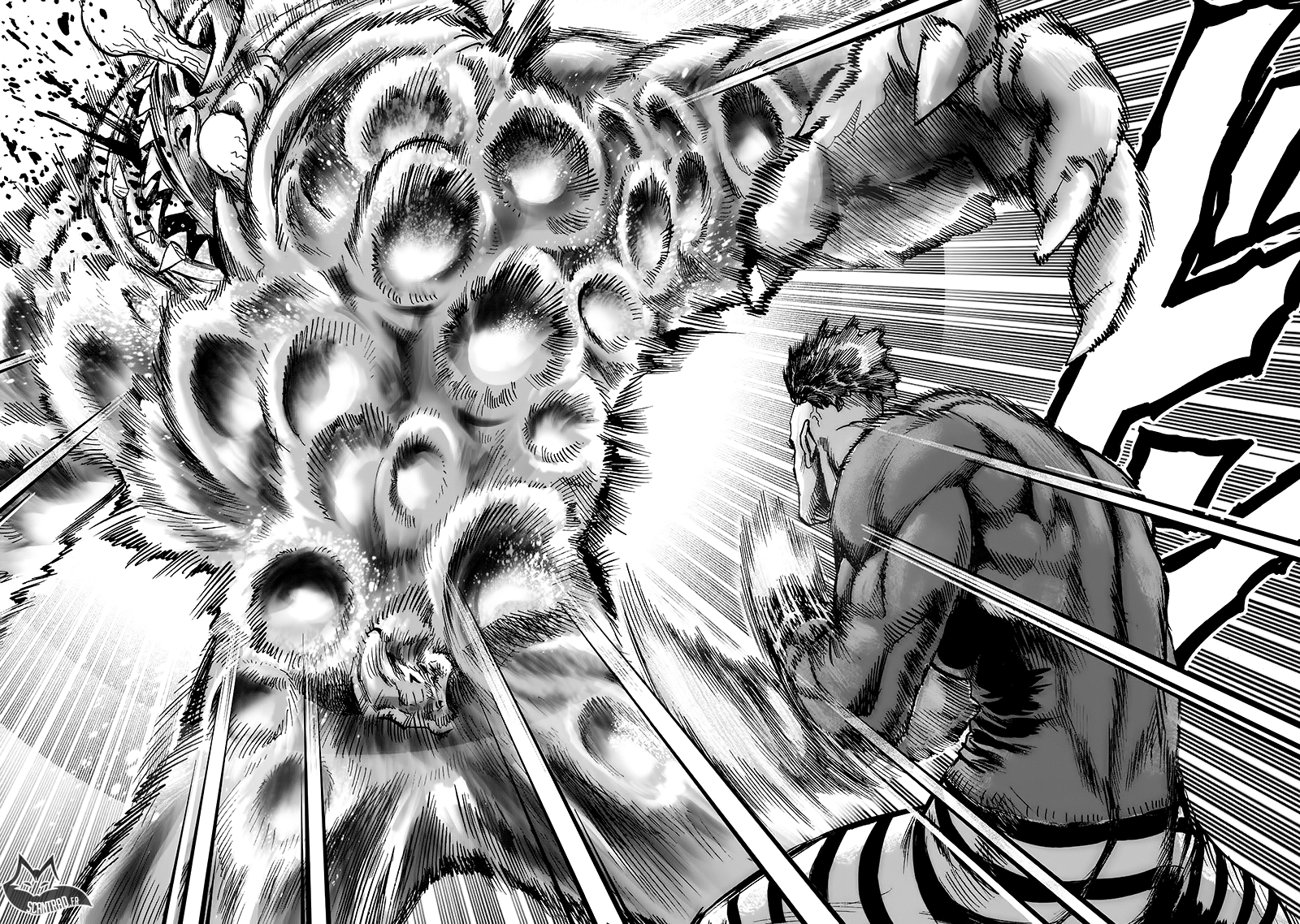 Read One-Punch Man FR Manga Online